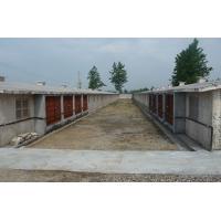 負壓風機養(yǎng)殖 負壓風機養(yǎng)殖